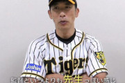 立浪監督に唯一話題性で対抗できていたのが矢野先生という事実