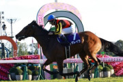 レガレイラ 有馬記念の鞍上はルメール