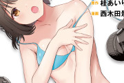 【正論】人気漫画の作者さん「無断転載で漫画読んで批判してくるバカ」にブチ切れ