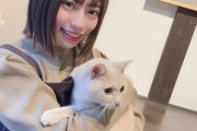 【日向坂46】めいめいと猫カフにきました。