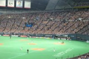 札幌ドームの阪神ファンの正体ｗｗｗ