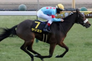 サリエラが引退で繁殖入り　重賞勝てず