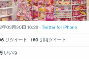 【画像】Twitterのカービィ好き、とんでもなくヤバい部屋を晒してしまう