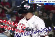 4大プロ野球なんだったのか大賞「堂林打率4割」「オラ！もう1発当てたれ！」プリンセスフォーム若月」