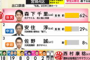 安住と小沢一郎、落選ｗｗｗｗｗｗｗｗｗｗｗｗ