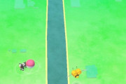 【ポケモンGO】田舎go民のプレイ環境ｗｗｗ