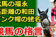 好きな競馬の格言