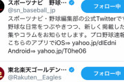 【速報】バレンティン、楽天公式アカウントをフォロー