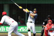 阪神・糸井　左足首回復具合は「９９・８パーセント」実戦復帰で大瀬良から２打数２安打