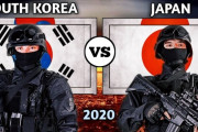 海外「GDPの1%でこれなんだよなあ…」日本と韓国のあれこれ（主に軍事力）比較