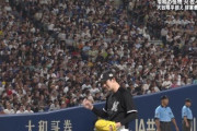 プロ野球オールスター第1戦の視聴率、関東9.6%・広島23.5%