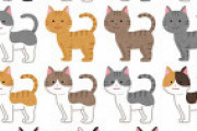 【朗報】一番かわいい猫種ランキング　１位は三毛猫やトラ猫などの「日本猫」