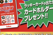 なんGにプロ野球チップス買ってるやつっておるんか？？？