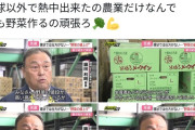 農家さん「野菜が高い？こっちだって人件費やコストがかかるんだよ」