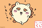 【悲報】ちいかわ女子、ちいかわくじに55万円をつぎ込む事態にｗｗｗｗｗｗｗ