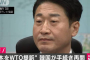 何言っても話通じないんだからほっとくしかないよな　～　韓国政府が日本のＷＴＯ提訴手続き再開「日本が輸出規制を撤回せず」