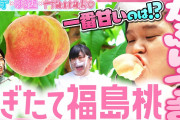 【衝撃画像】福島産の桃、とんでもない方法で売られてしまう……?