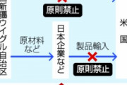 【ウイグル産禁輸法】日本が米国に意見書　事業活動が過度な規制を受ける事態を避けたい考え