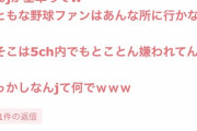 【悲報】ガルちゃん民「なんJにまともな野球ファンはいない。あそこは5ちゃんの嫌われ者の集まり」