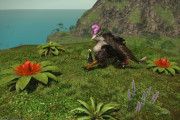 【FF14】グリフィンに20回以上煙幕投げたんだが！？無人島ヒカセンさん、レア動物捕獲で連続失敗→逃走でブチギレｗｗｗｗｗｗ