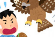 【画像】 ツイッタラー「トンビにパンを取られました～」 ← 「わざと取らせただろ」「餌付けするな」と批判噴出