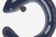 日本人特有の「ウナギが絶滅する！？今のうちに食べまくらなきゃ…」精神 ← これ外国人笑うらしいな