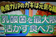 ｢発酵食品がコロナにいい｣…日本でキムチの売上げ60％急増＝韓国報道