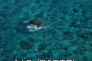 中国「沖ノ鳥島って岩やん」日本「沖ノ鳥島は島！」