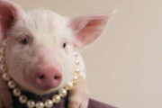 豚「この真珠めっちゃ綺麗ｗｗｗｗｗ」