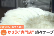 かき氷専門店が続々オープン 1000円超でも行列ができるほど人気らしい