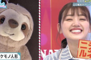 【日向坂46】ナマケモノに似ているみーぱんが可愛いｗｗｗｗｗｗｗｗｗｗ