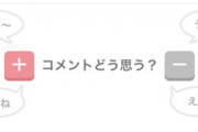【画像】ガールズちゃんねる運営「サイトの使い方わからん奴いるやろなあ…せや！」