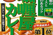 【悲報】 レトルトカレー界、未だに天下不在