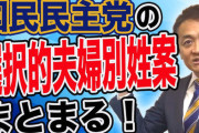 山尾しおりの意思を継ぐ国民民主党　公約がパヨク政策てんこもりの民主党らしさを参院選前に披露　夫婦別姓・ＬＧＢＴ・外国人共生・クォーター制等々