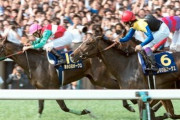 【訃報】オークス馬ウメノファイバー死亡