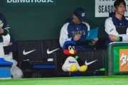 【ヤクルト】つば九郎のぬいぐるみが開幕戦ベンチ入り「いるの泣ける…」「監督の隣に座ってる」