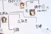 【日向坂46】『ひらがな推し』源氏物語の登場人物をメンバーに当てはめると？？ｗｗｗｗｗｗｗｗｗｗｗ