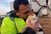 トルコの船で生まれた猫が乗組員に加わり、愛されすぎる日常を送る