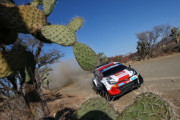 【動画】2023WRC第3戦メキシコ：SS10を終えてトヨタのオジェが首位　エバンスがいてトヨタ1-2