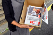 【画像】「猫殺した容疑者に懲役刑を」３万７千人分の署名集まる　東京地検に提出