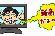 【悲報】日清は悪いオタクのCMプランナーに騙されているという風潮←これｗｗｗｗｗ