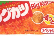 『ビッグカツ』とかいうトンカツの駄菓子ｗｗｗｗｗ