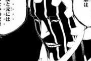 【BLEACH】隊長「卍解しないと勝てません。でも卍解したら勝てません」←これさぁｗｗｗｗｗ