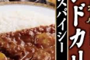 カレーの「中村屋」書類送検