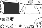 【画像】女さん「クレカの請求額ヤバすぎて草 完全に不正利用やわ」