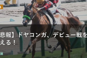 【悲報】ドヤコンガ、デビュー戦を迎える！