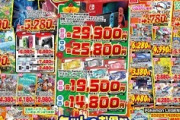 【画像】今日のゲーム店のチラシｗｗｗｗｗｗｗ