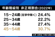【深刻】氷河期世代『1回、お試しでもいいから働かせて』