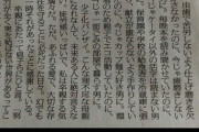 ワイの両親「習い事はヴァイオリンとピアノとSAPIXと書道させてぇ(ﾆﾁｬｱ」←結果ｗｗｗｗｗｗｗｗｗｗｗｗｗｗｗｗ