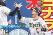 デイリーさん、「あかん阪神アレしてまう」もう解禁WWWWWWWWWWWWWWWWWWWWWWWWWWWWWWWW